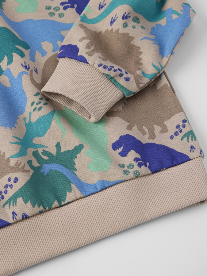 Sweatshirt dinosaurs Sweatshirt dinosaurs