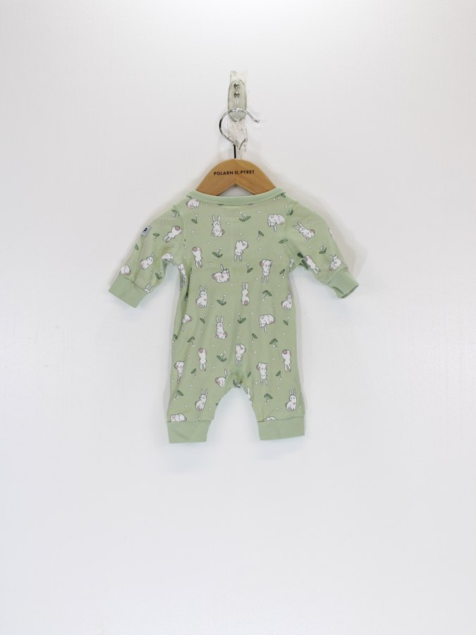 Baby Bodysuit Baby Bodysuit