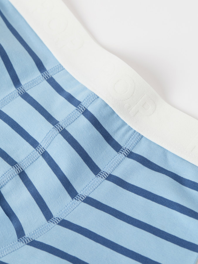 Boxer shorts striped