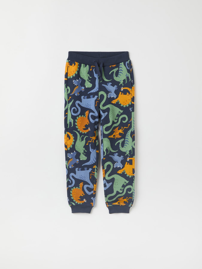 Sweatpants with pockets and dinosaur print