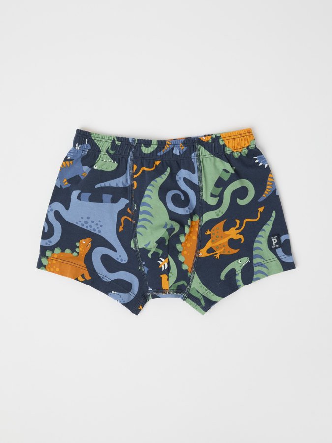 Boxers with dinosaur print