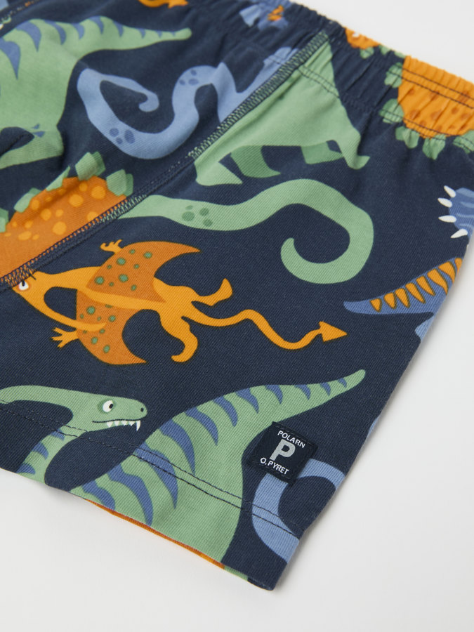 Boxers with dinosaur print