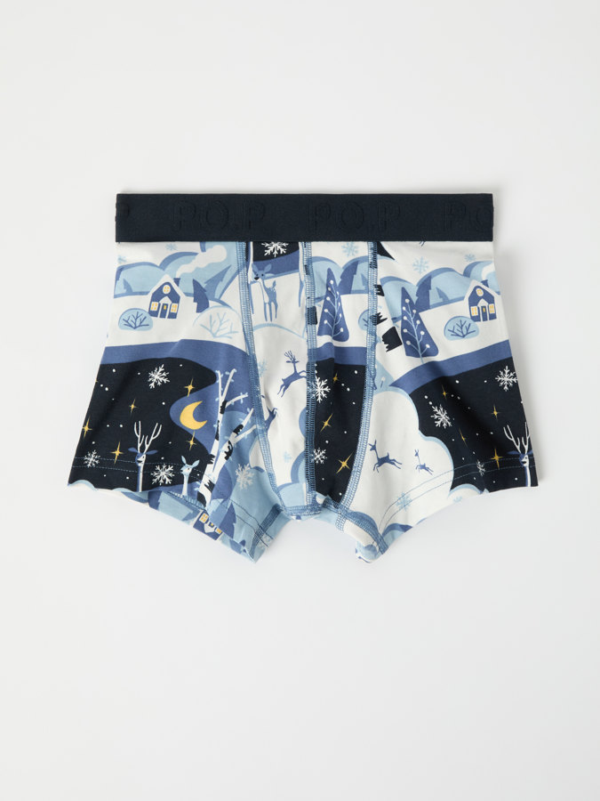 Boxers with winter landscape print