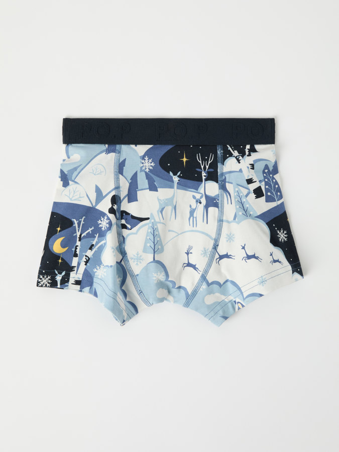 Boxers with winter landscape print