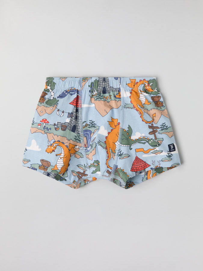Boxers with dragon print