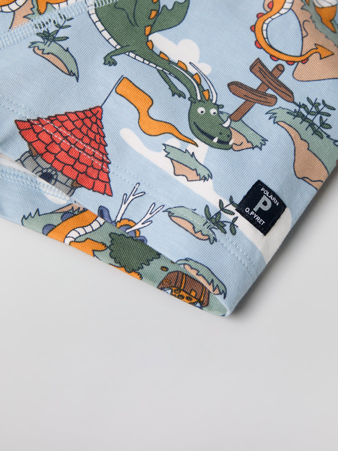 Boxers with dragon print