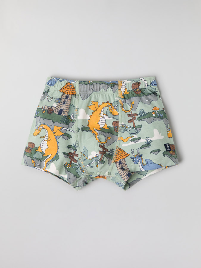 Boxers with dragon print