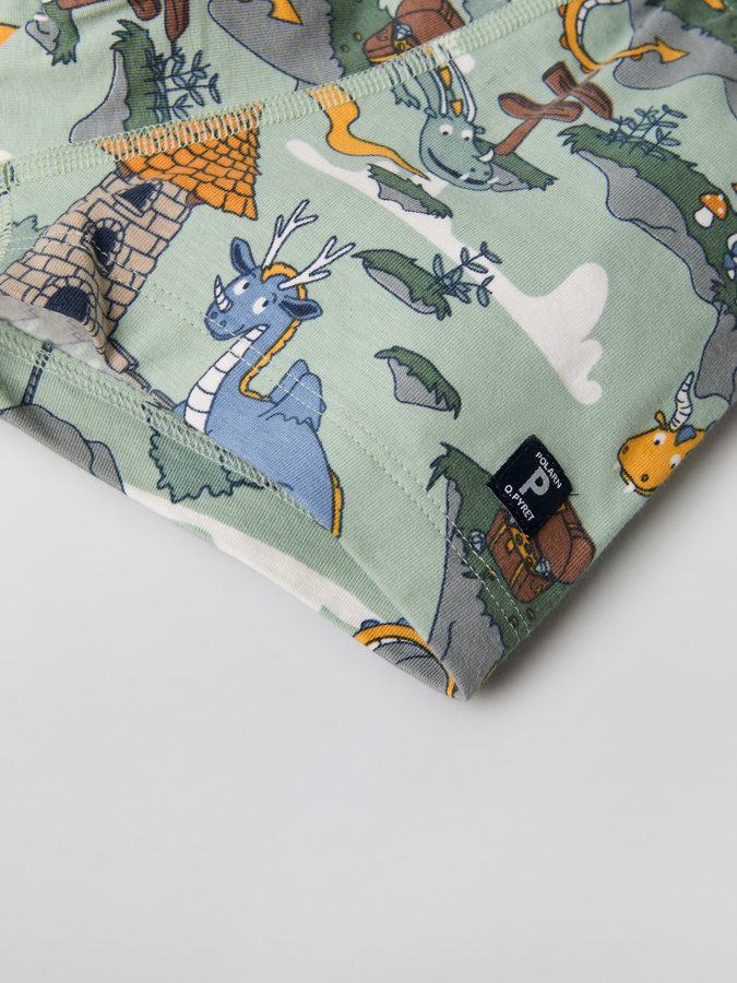 Boxers with dragon print
