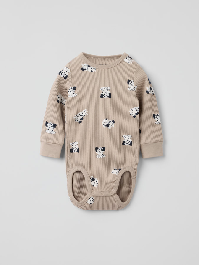 Ribbed body dalmatian Ribbed body dalmatian