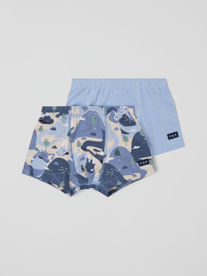 2-pack boxer shorts dragons
