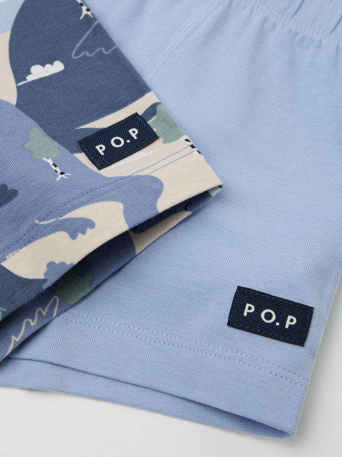 2-pack boxer shorts dragons 2-pack boxer shorts dragons