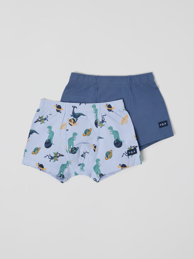2-pack boxer shorts dinosaurs