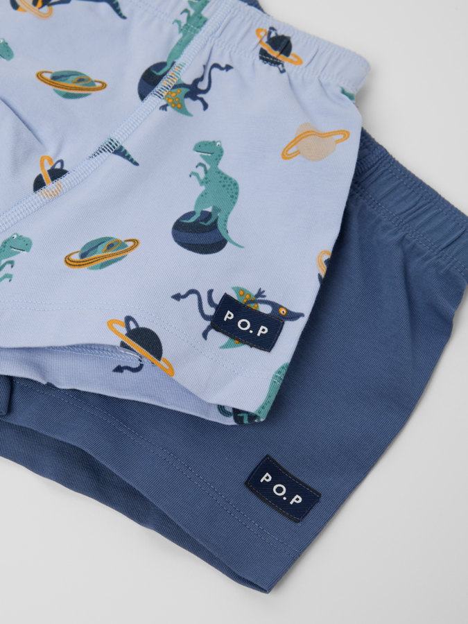 2-pack boxer shorts dinosaurs
