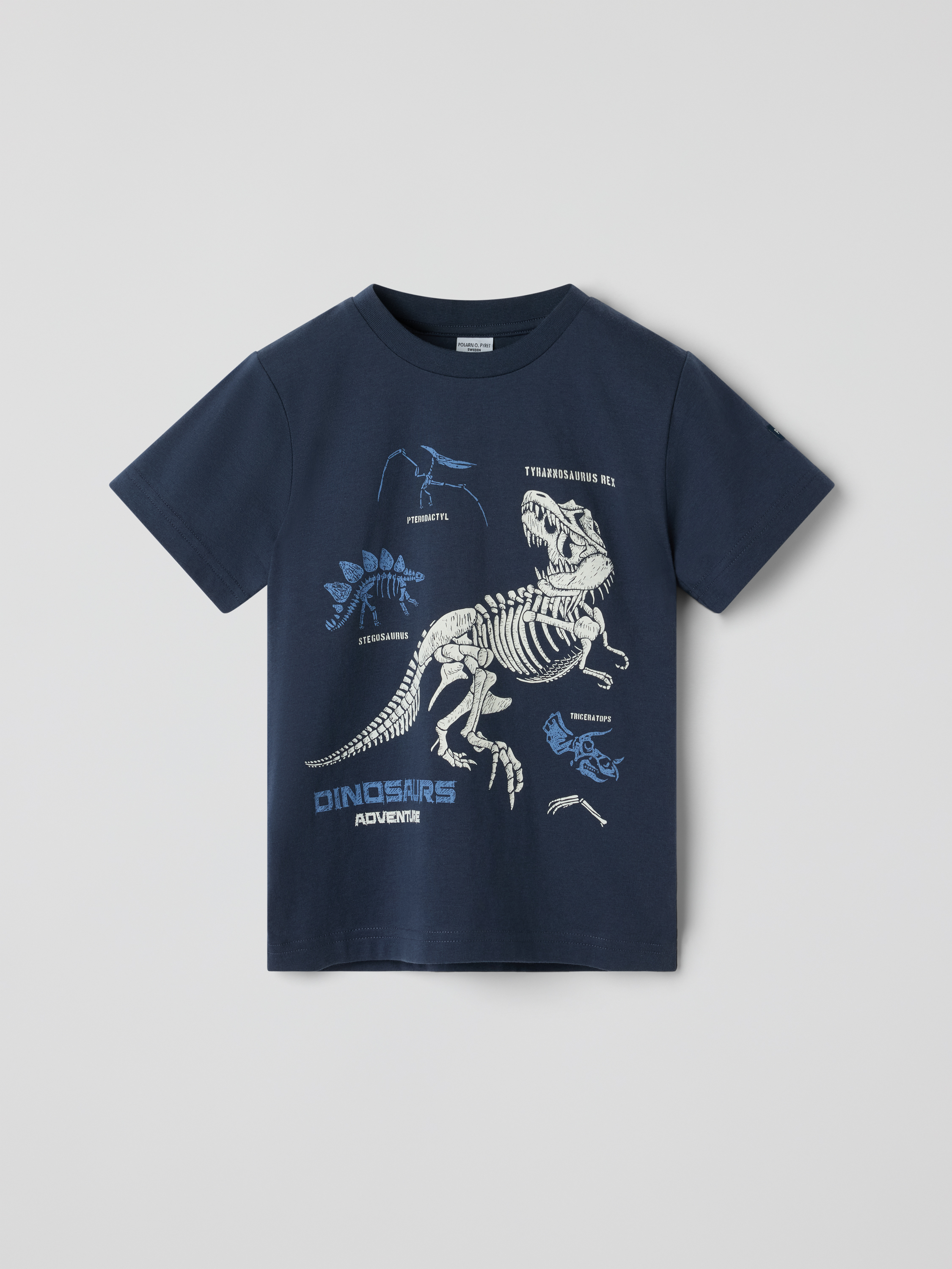 Polarn O. Pyret T-shirt Dinosaurs