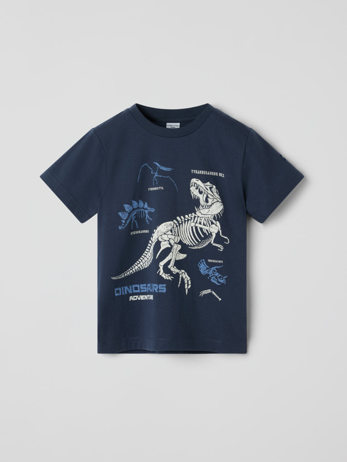 T-shirt dinosaurs T-shirt dinosaurs