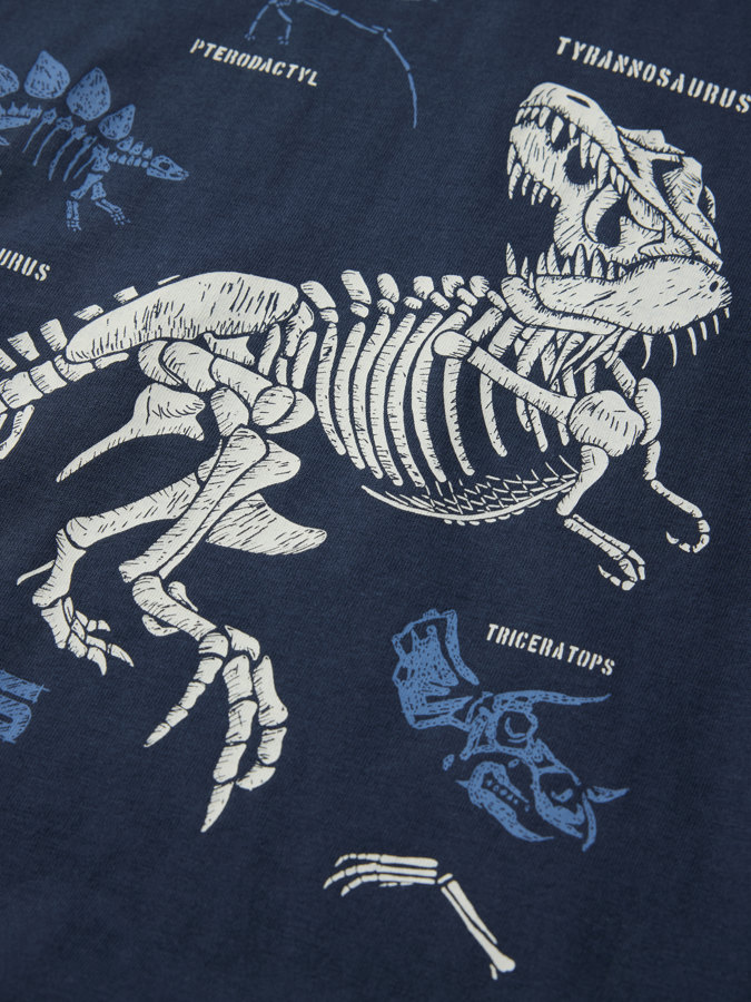 T-shirt dinosaurs