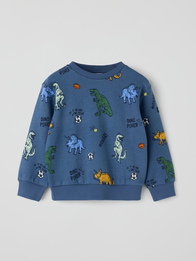 Sweatshirt dinosaurier Sweatshirt dinosaurier