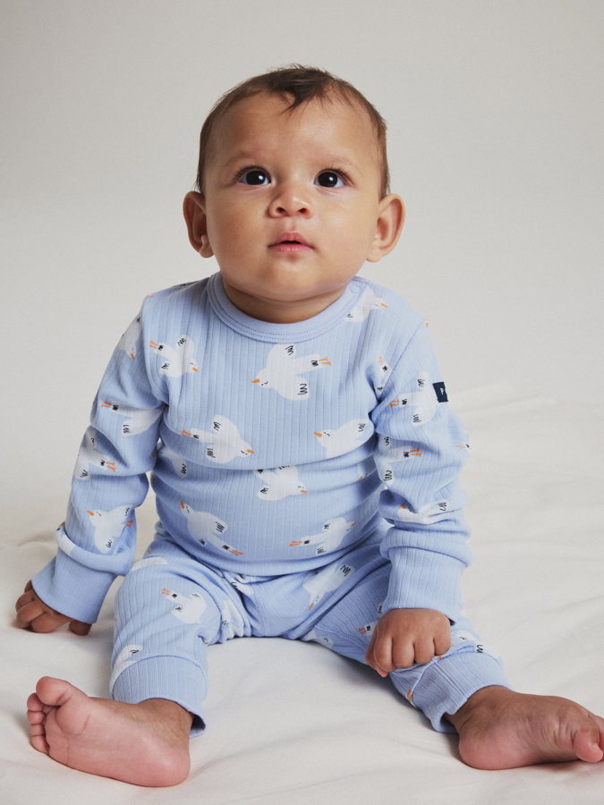 Rippbody vögel Rippbody vögel