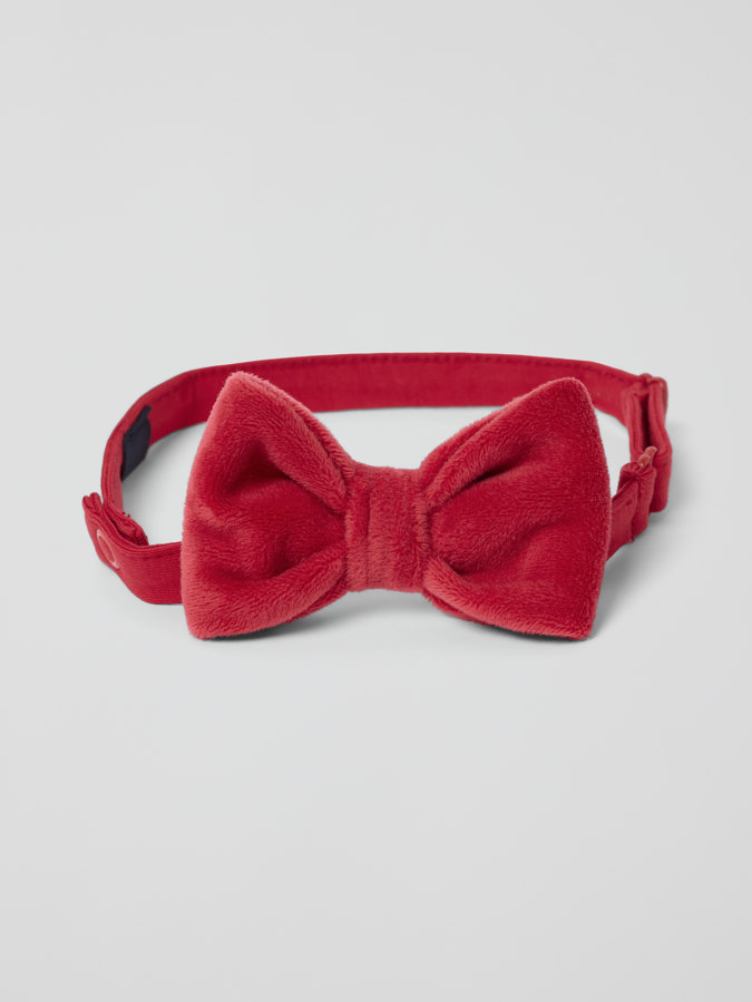 Bow tie Bow tie