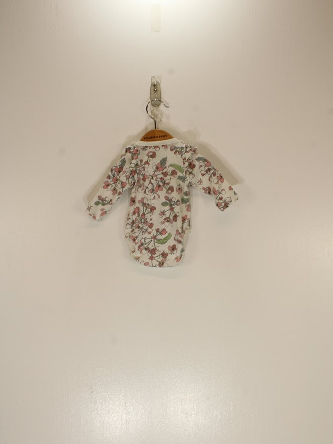 Baby Bodysuit Baby Bodysuit