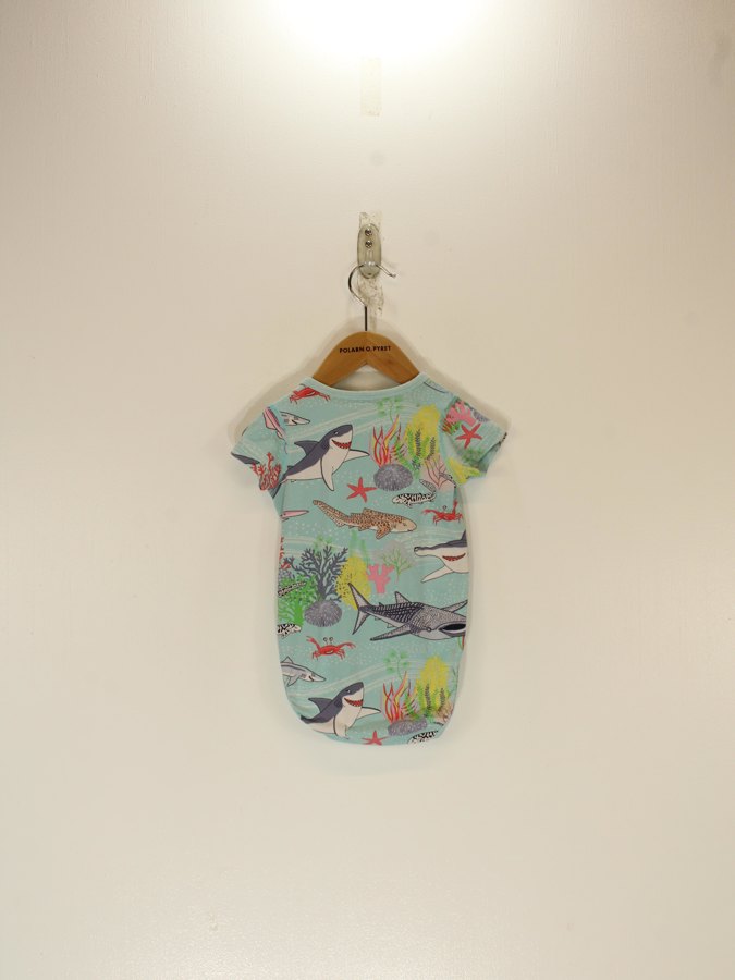 Baby Bodysuit Baby Bodysuit