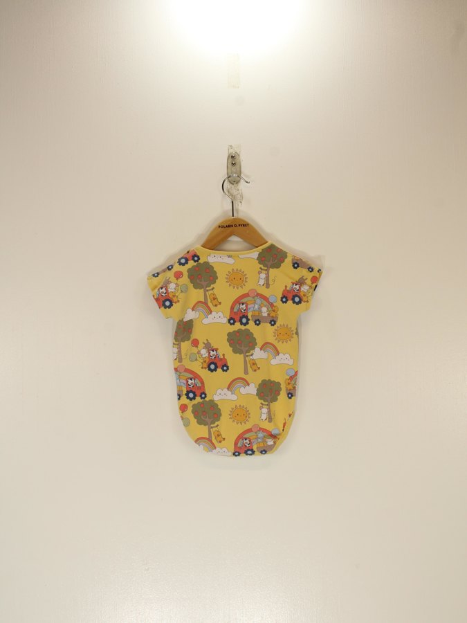 Baby Bodysuit Baby Bodysuit