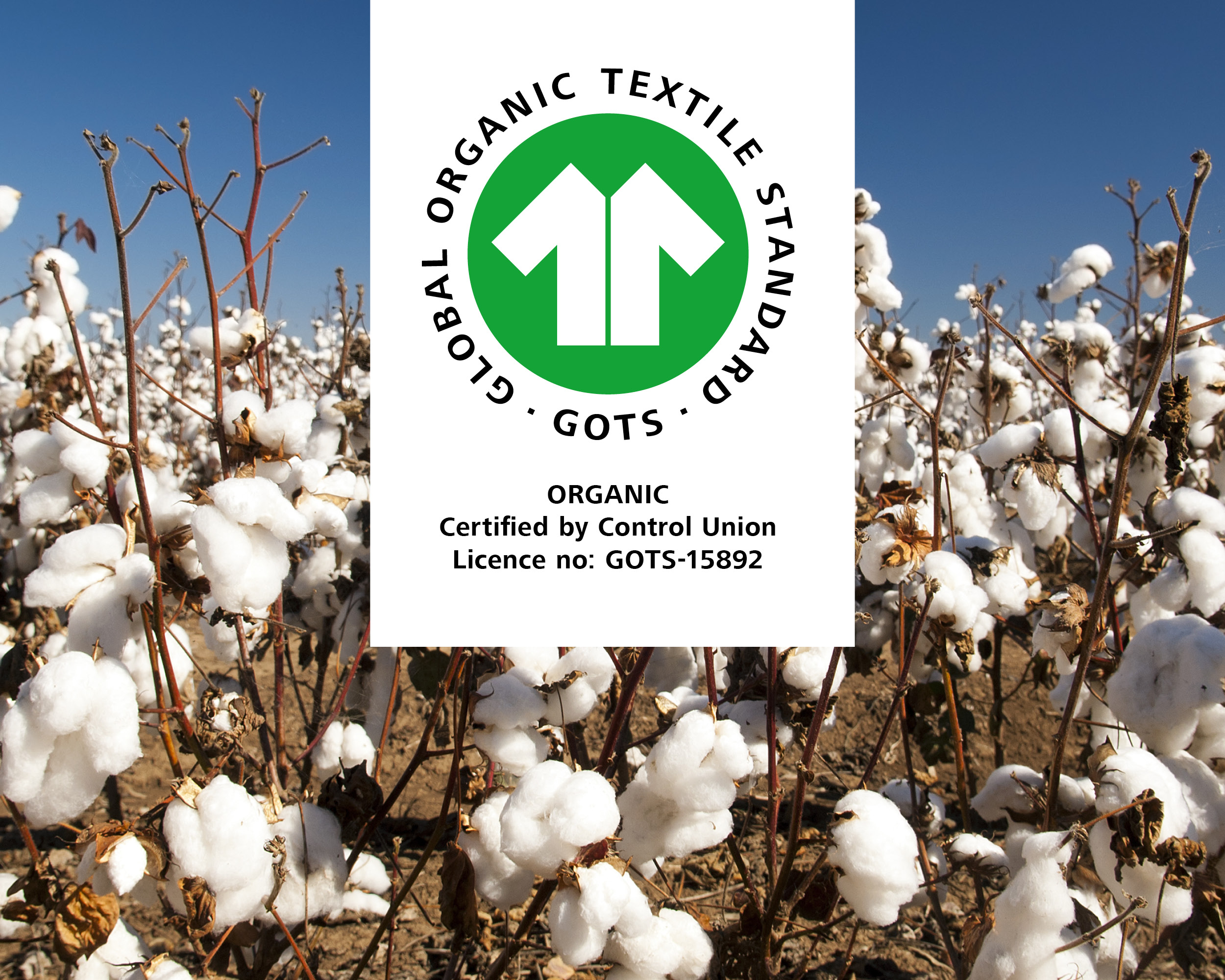 GOTS Organic